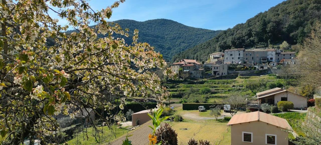 Maisonette En Cevennes Notre-Dame-de-la-Rouvière Dış mekan fotoğraf