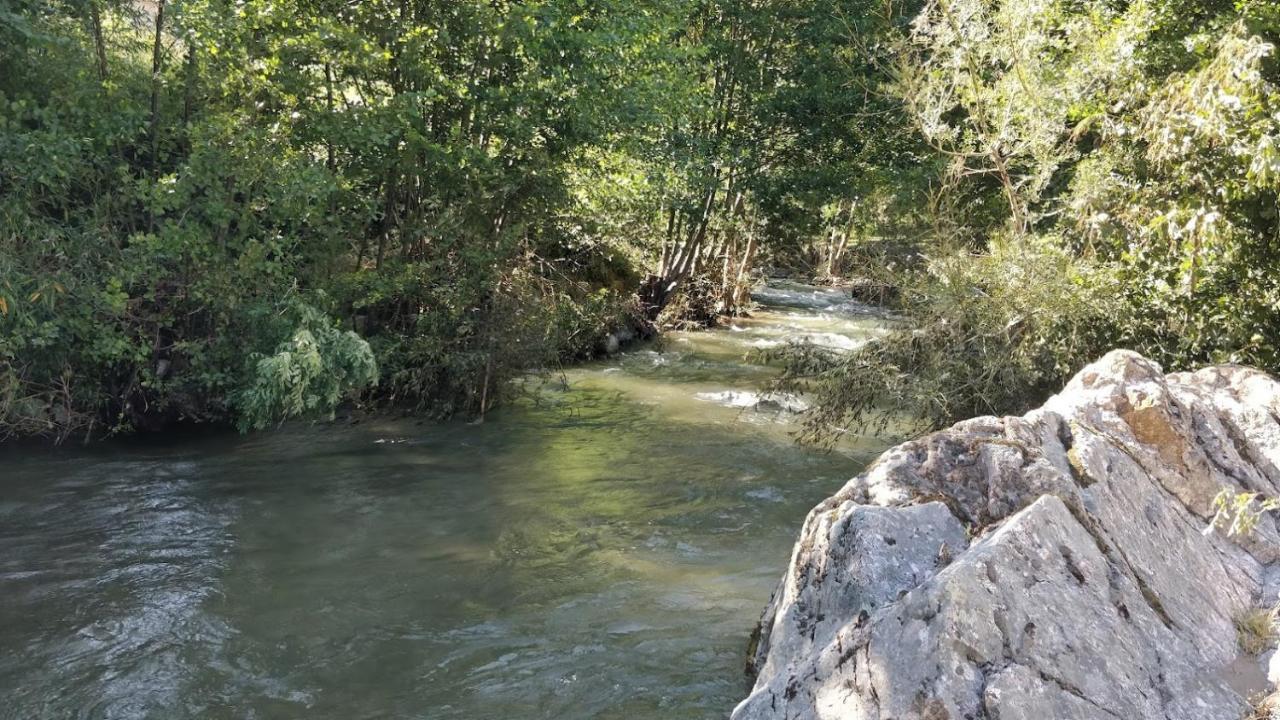 Maisonette En Cevennes Notre-Dame-de-la-Rouvière Dış mekan fotoğraf
